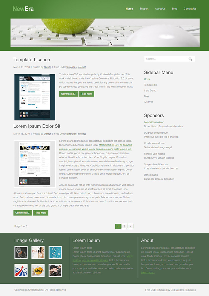Free NewEra Website Template