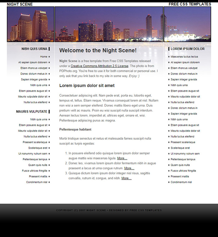 Free Night Scene Website Template