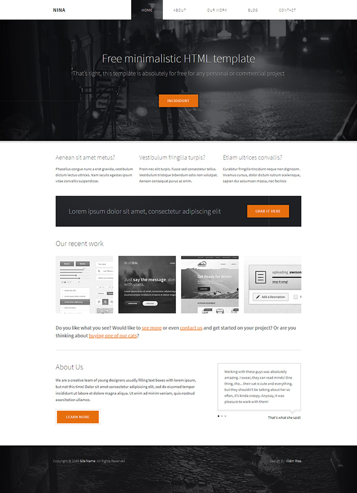 Free Nina Website Template