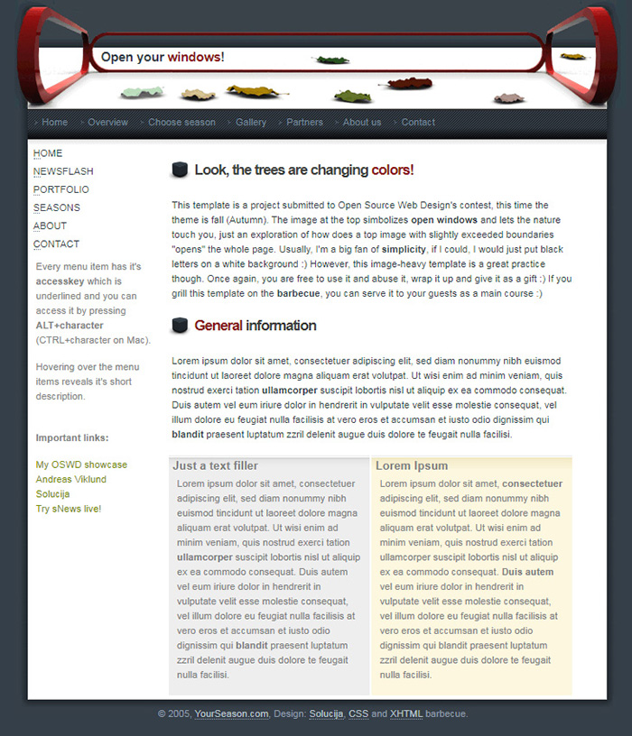 Free Open Your Windows Website Template