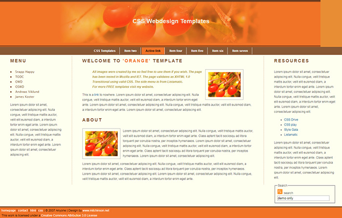 Free Orange Website Template