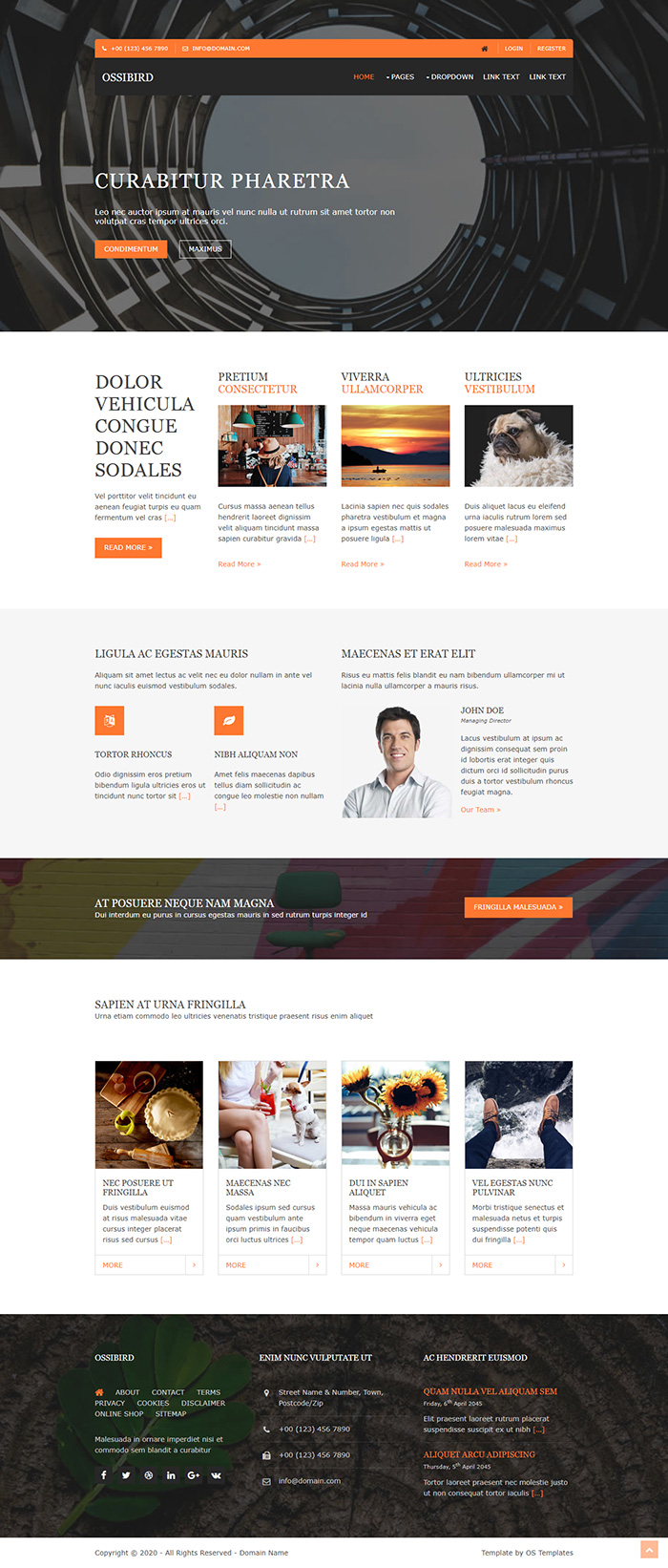 Free Ossibird Website Template