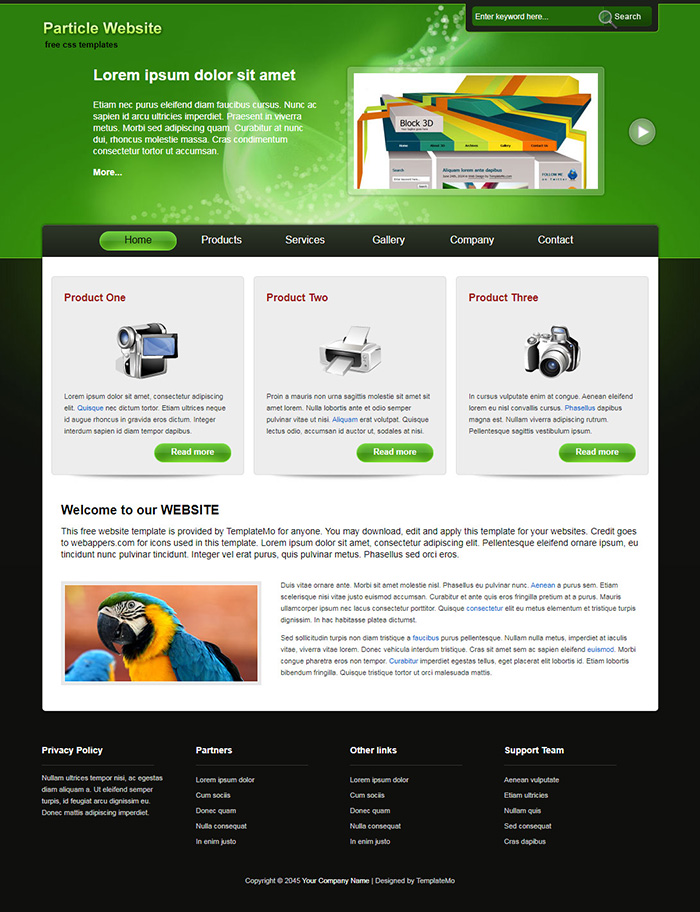 Free Particle Website Template