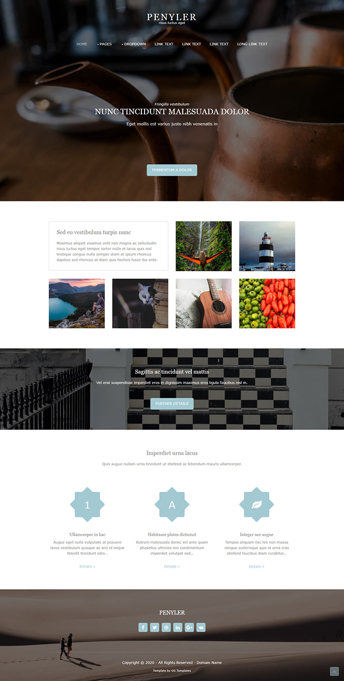 Free Penyler Website Template
