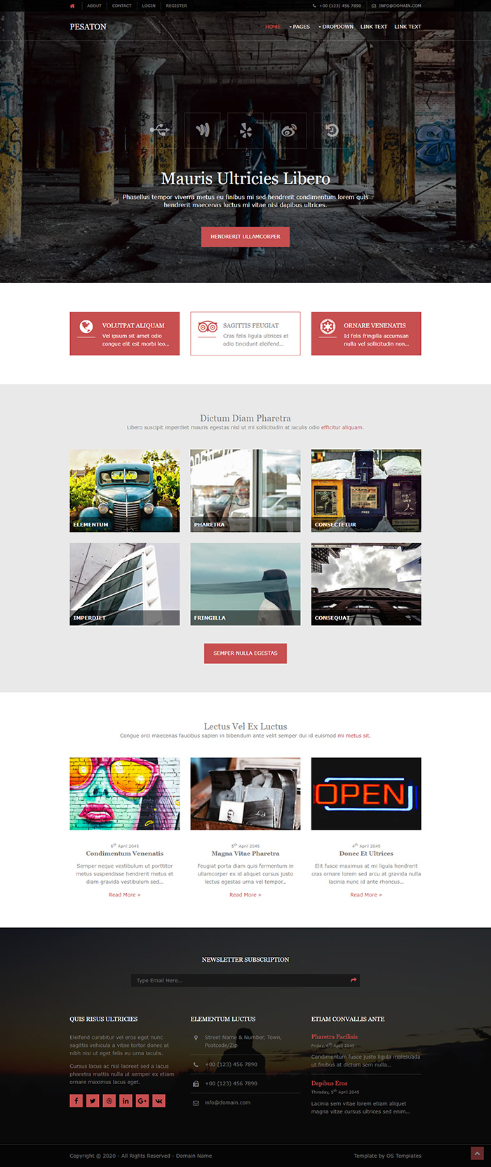 Free Pesaton Website Template