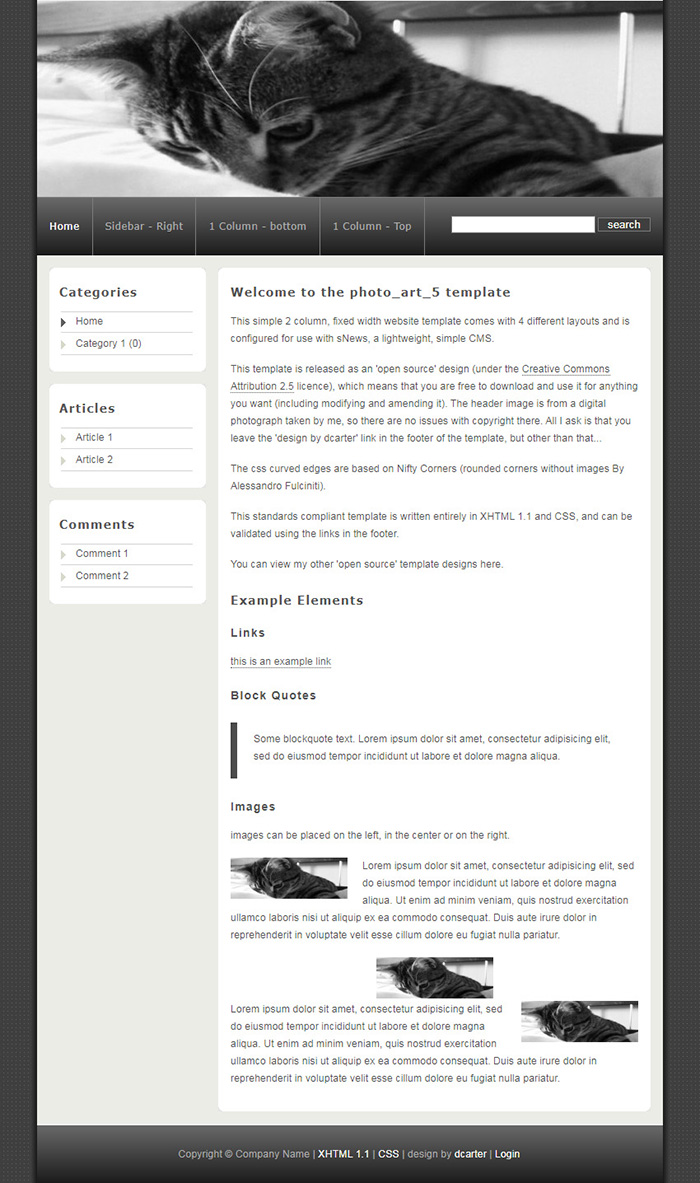 Free Photo Art 5 Website Template