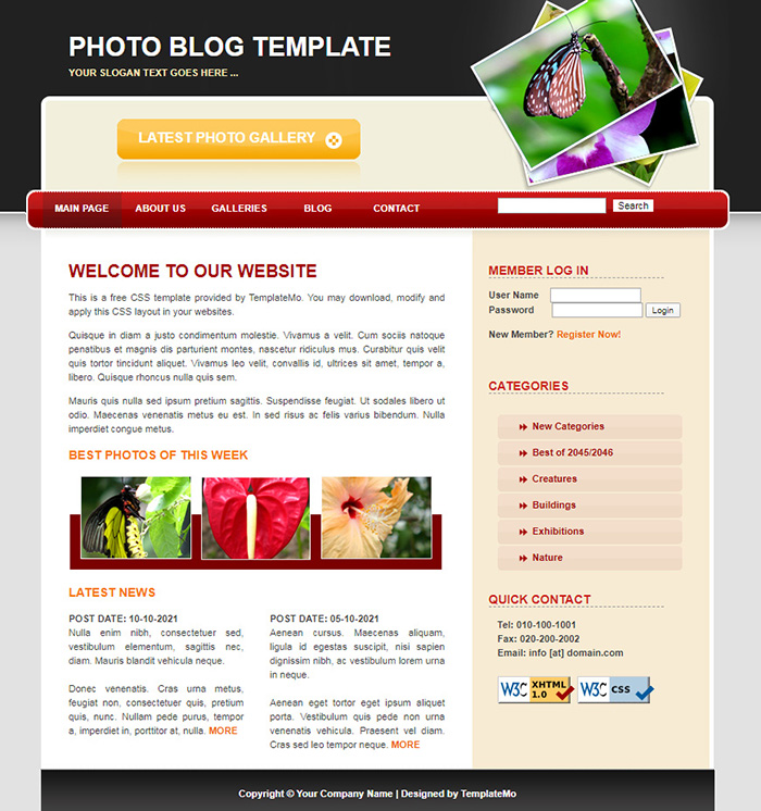 Free Photo Blog Website Template