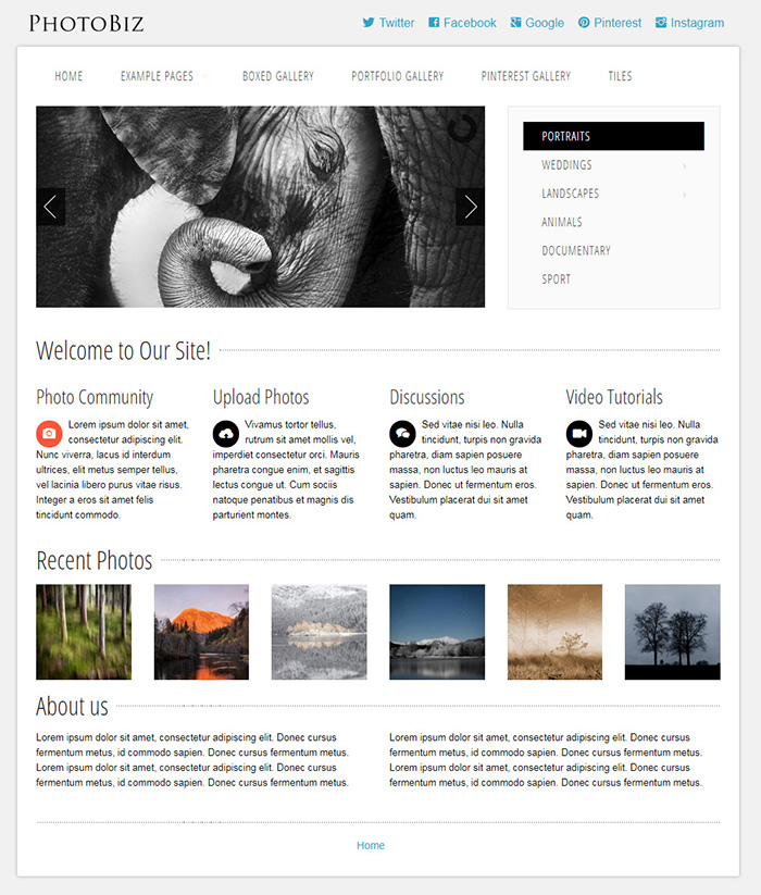 Free PhotoBiz Website Template