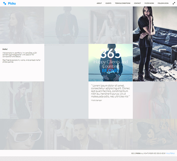 Free Picku Website Template