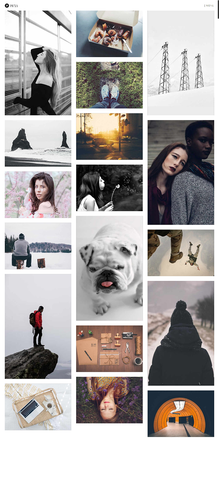 Free Picxa Website Template