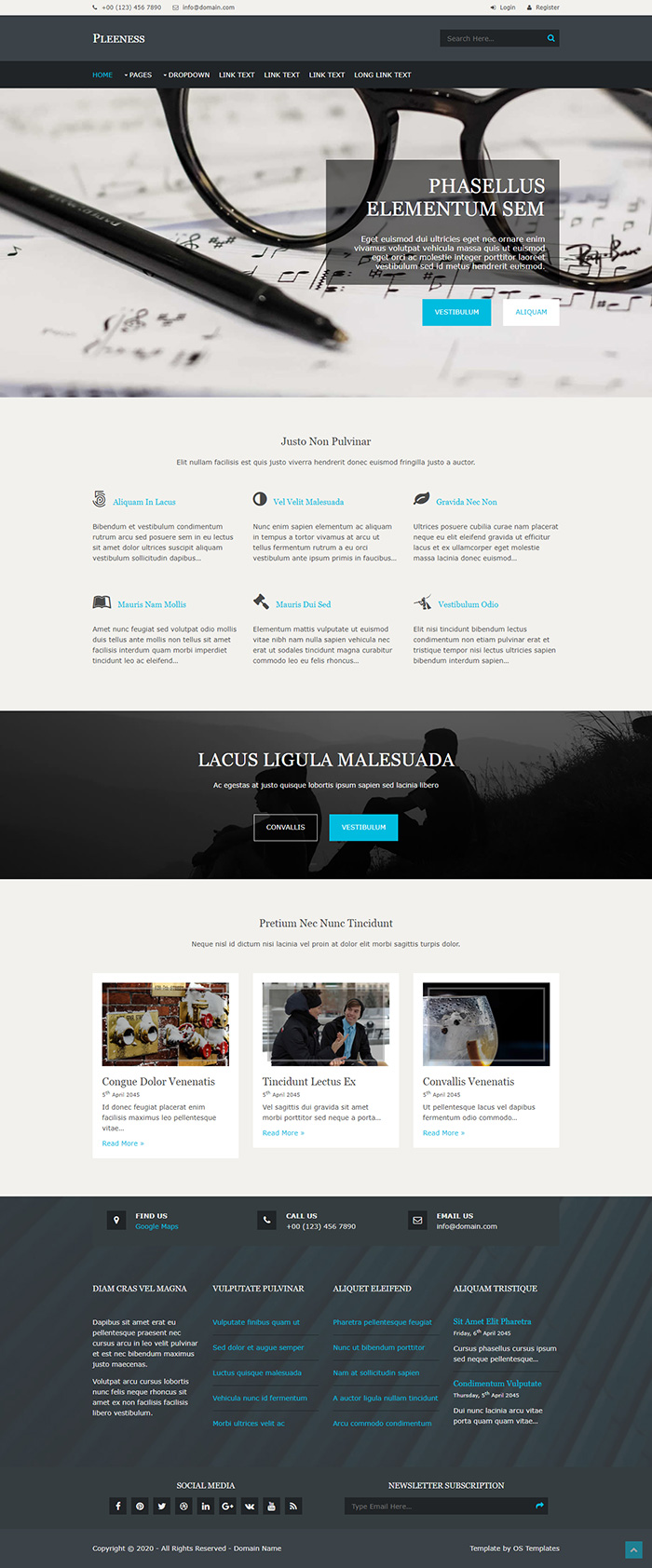 Free Pleeness Website Template