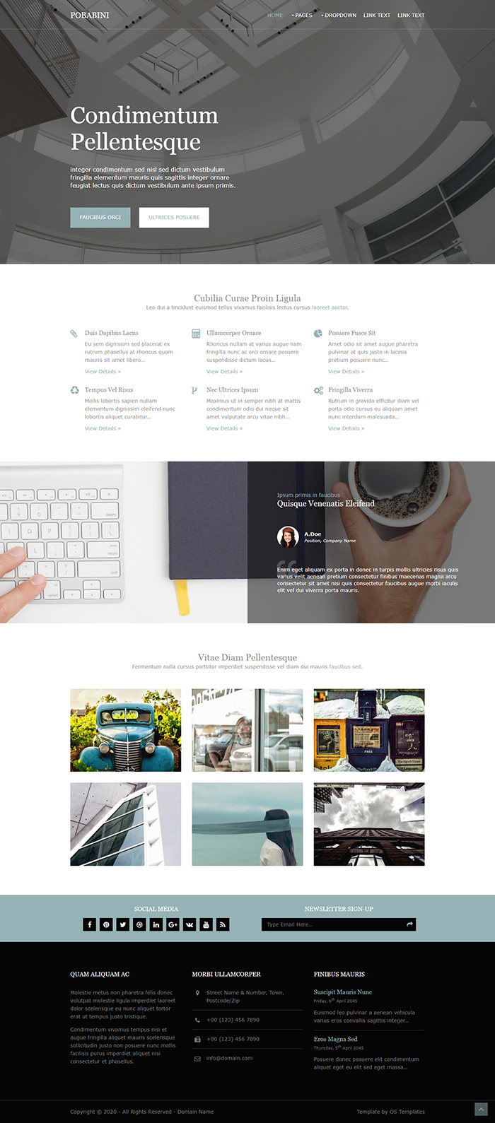 Free Pobabini Website Template