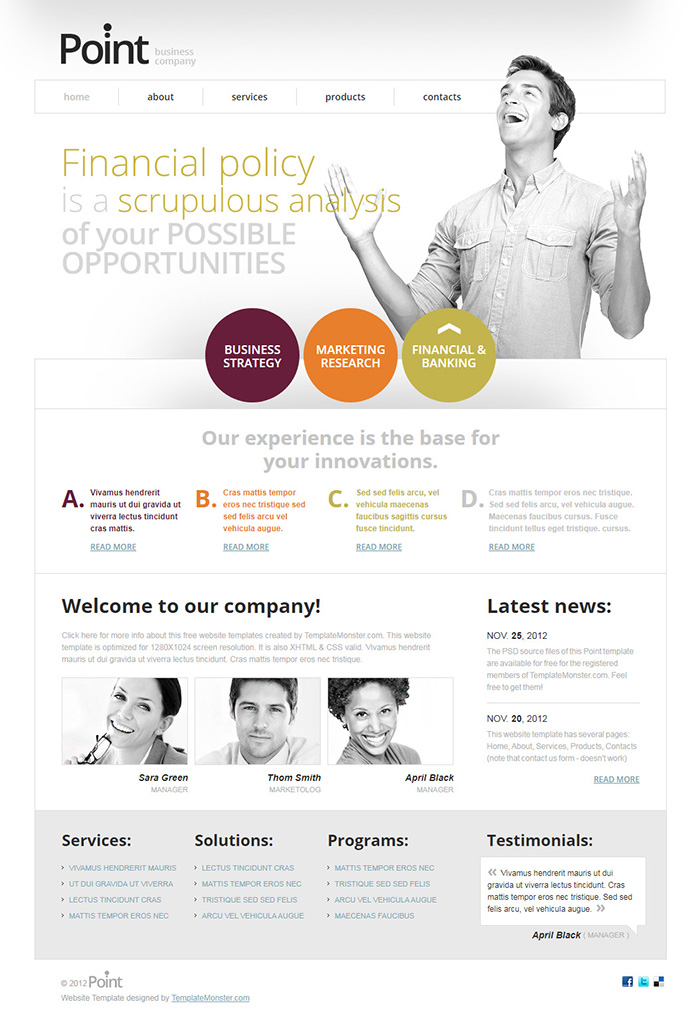 Free Point Website Template