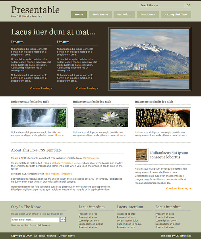 Free Presentable Website Template