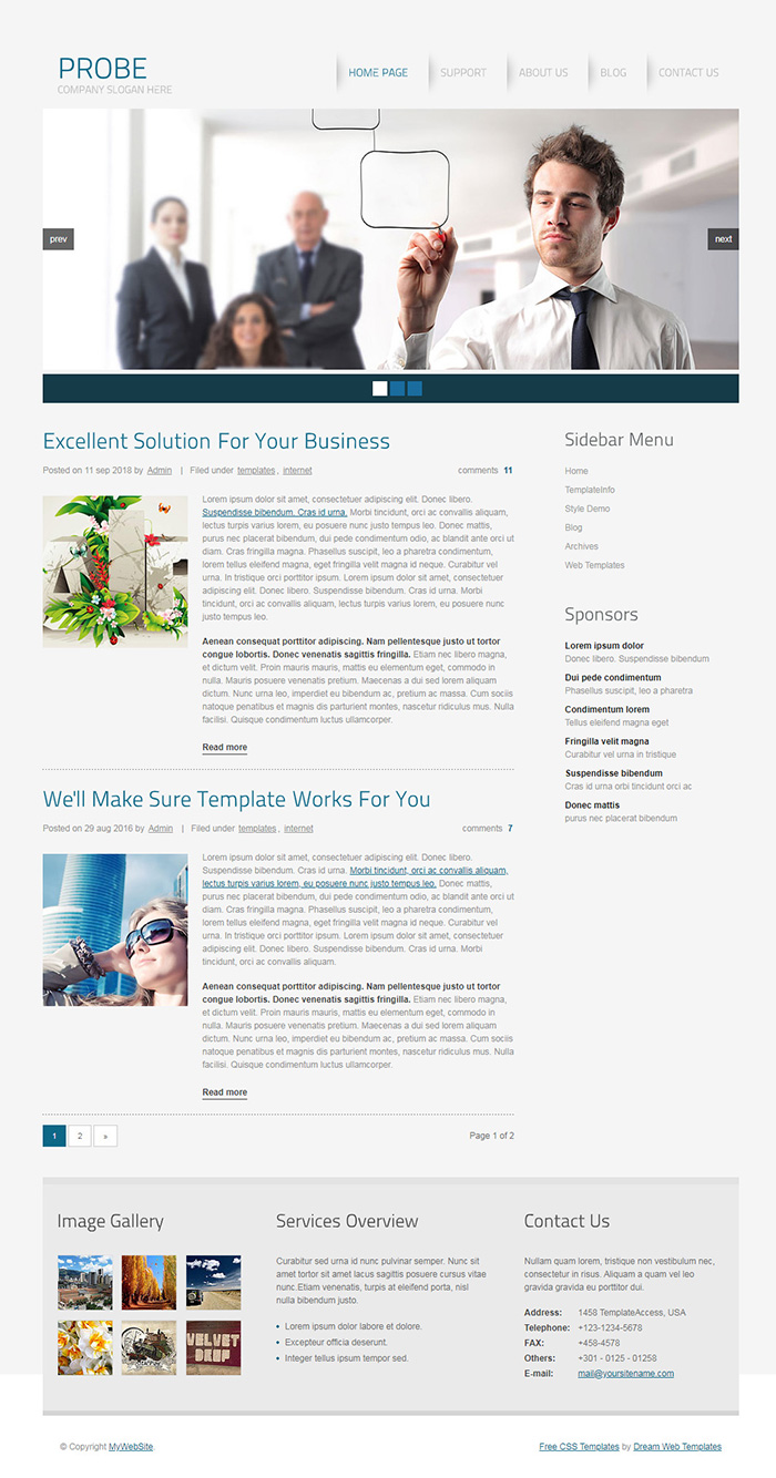 Free Probe Website Template