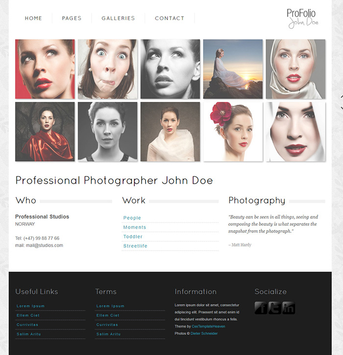 Free ProFolio Website Template Free Website Templates HTML5 CSS