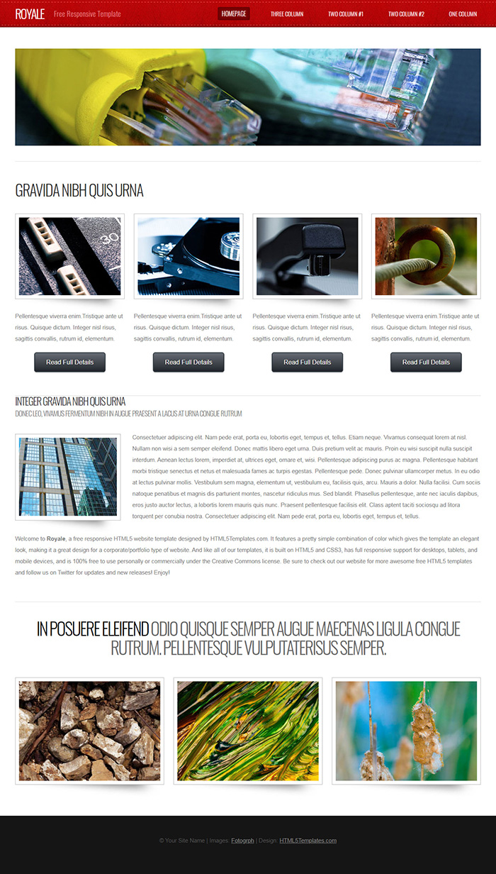 Free Royale Website Template