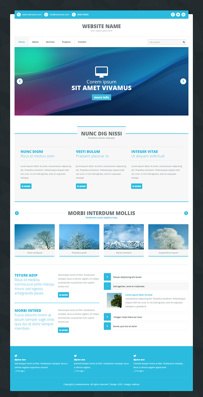Free RS HTML 113 Website Template