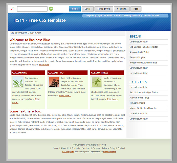 Free RS11 Website Template