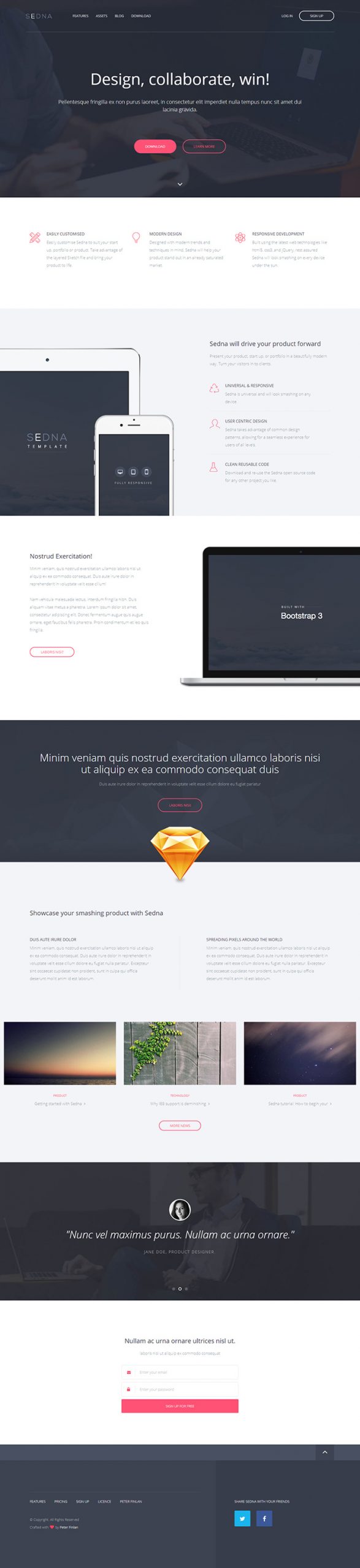 Free Sedna Website Template