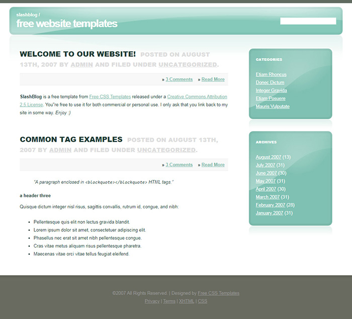 Free Slashblog Website Template
