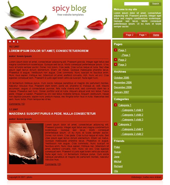 Free Spicy Blog Website Template