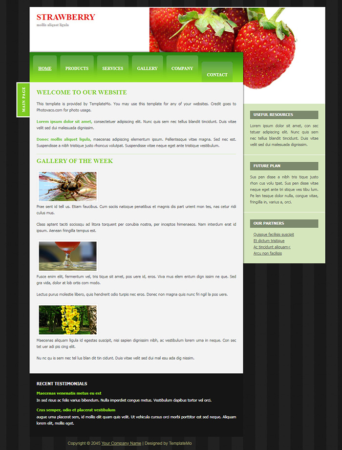 Free Strawberry Website Template