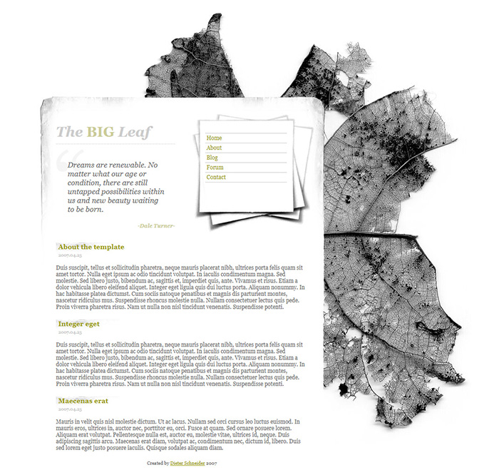 Free The Big Leaf Website Template Free Website Templates HTML5 Free The Big Leaf Website Template Free Website Templates HTML5