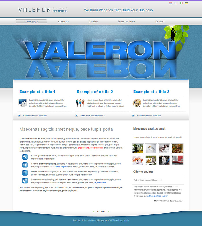Free VDS 5 Website Template
