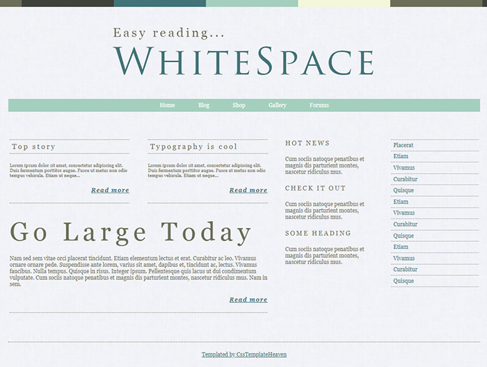 Free WhiteSpace Website Template
