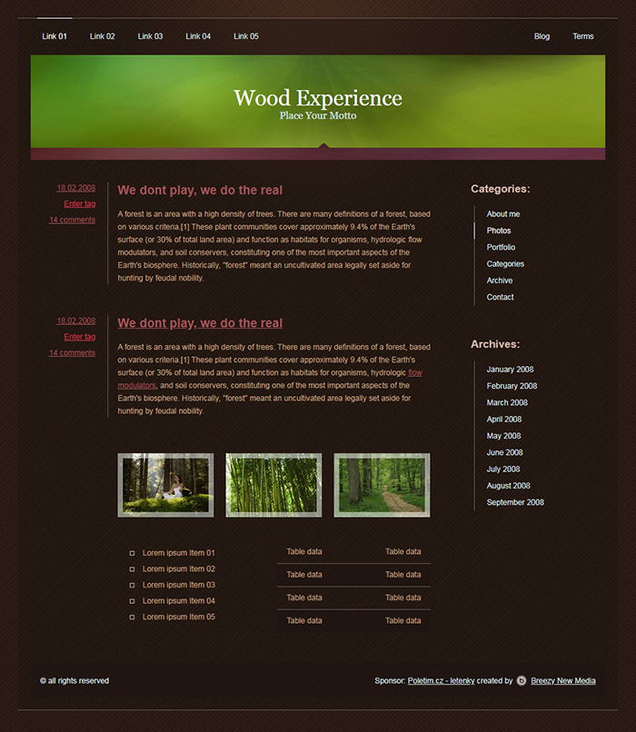 Free Wood Experience Website Template
