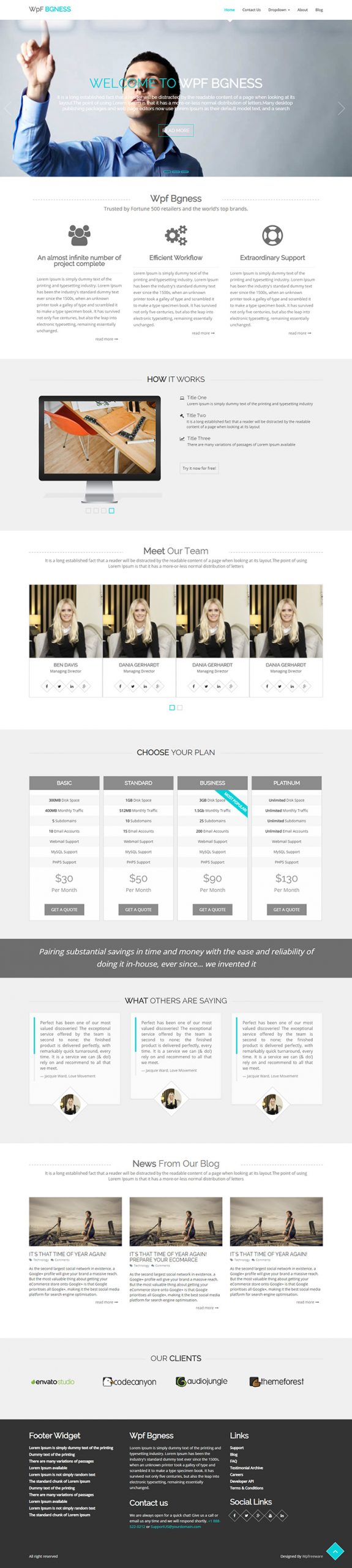 Free WpF BGness Website Template