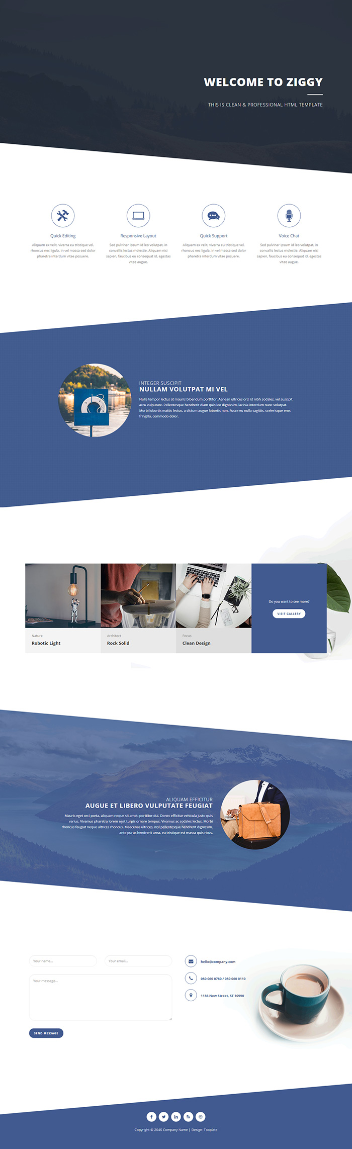 Free Ziggy Website Template